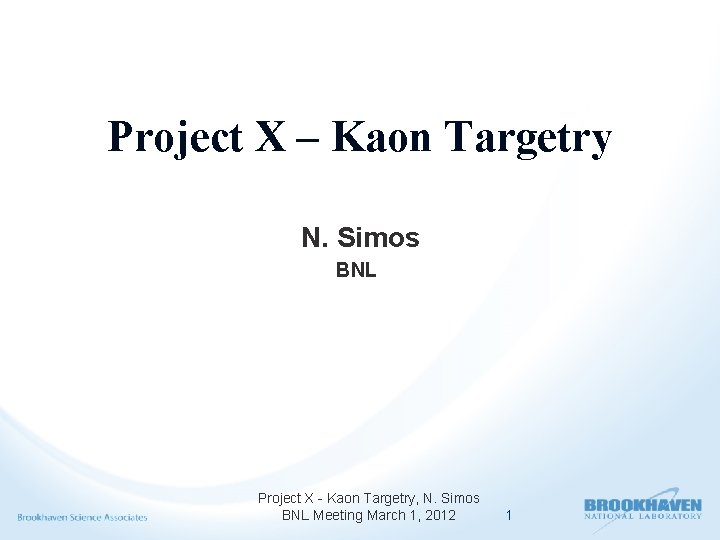 Project X – Kaon Targetry N. Simos BNL Project X - Kaon Targetry, N.