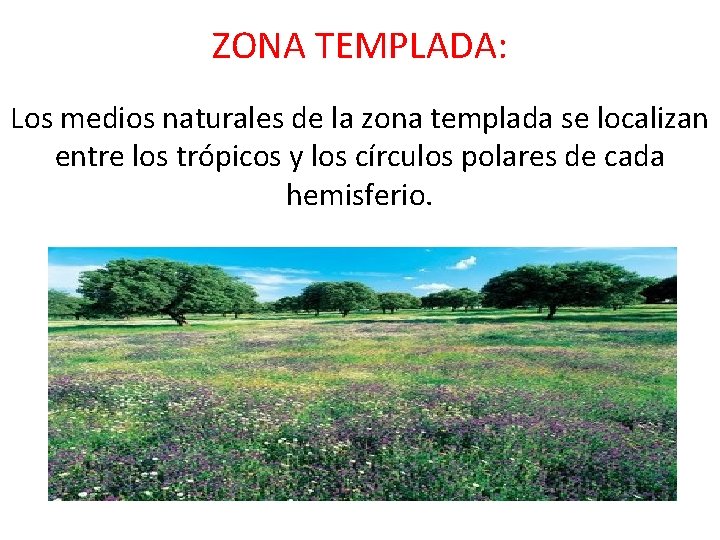 ZONA TEMPLADA: Los medios naturales de la zona templada se localizan entre los trópicos