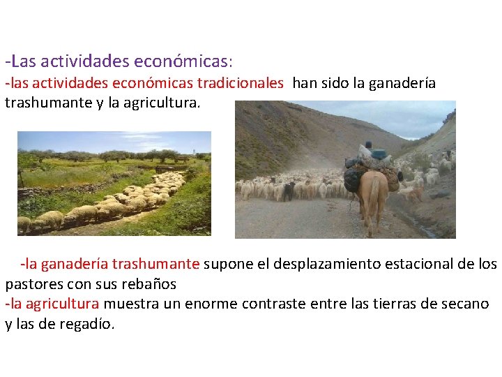 -Las actividades económicas: -las actividades económicas tradicionales han sido la ganadería trashumante y la
