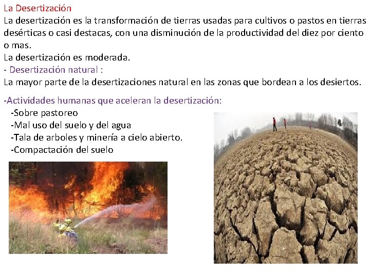 La Desertización La desertización es la transformación de tierras usadas para cultivos o pastos