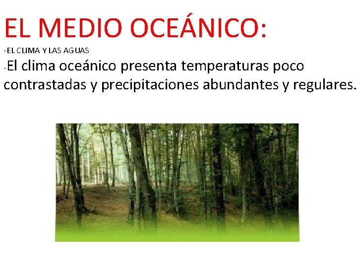 EL MEDIO OCEÁNICO: -EL CLIMA Y LAS AGUAS El clima oceánico presenta temperaturas poco