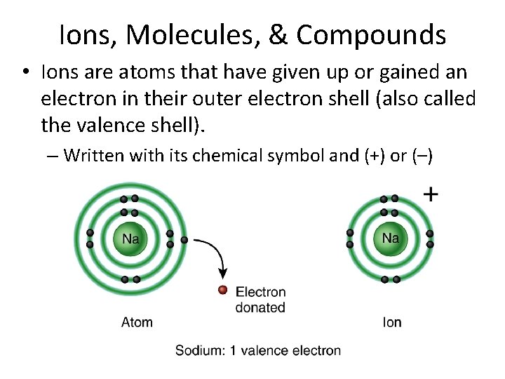 Ions, Molecules, & Compounds • Ions are atoms that have given up or gained