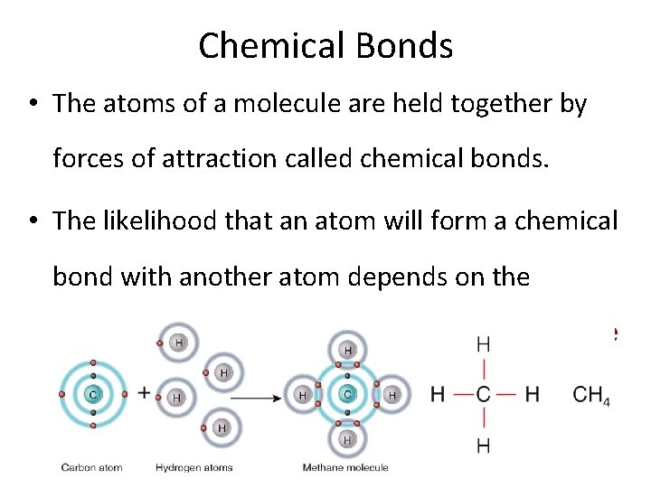 Chemical Bonds • The atoms of a molecule are held together by forces of