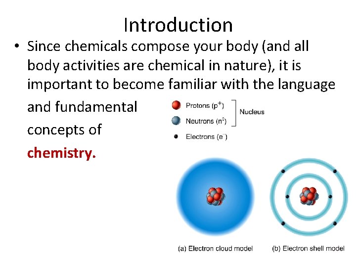 Introduction • Since chemicals compose your body (and all body activities are chemical in