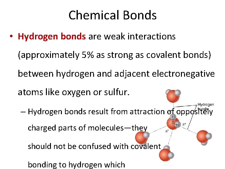 Chemical Bonds • Hydrogen bonds are weak interactions (approximately 5% as strong as covalent