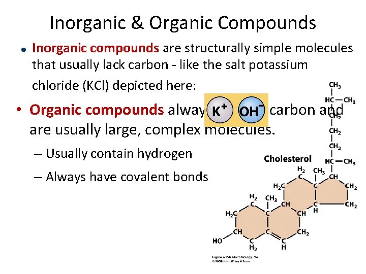Inorganic & Organic Compounds Inorganic compounds are structurally simple molecules that usually lack carbon