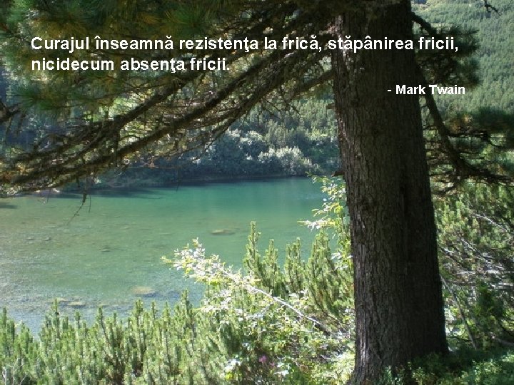 Curajul înseamnă rezistenţa la frică, stăpânirea fricii, nicidecum absenţa fricii. - Mark Twain 