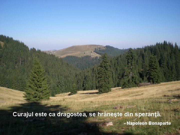 Curajul este ca dragostea, se hrăneşte din speranţă. - Napoleon Bonaparte 