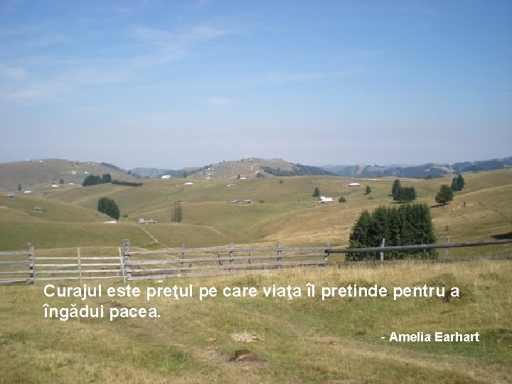 Curajul este preţul pe care viaţa îl pretinde pentru a îngădui pacea. - Amelia