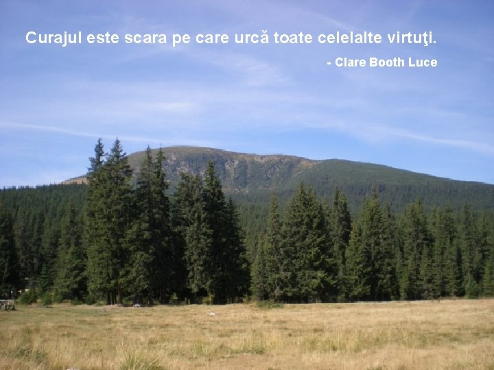 Curajul este scara pe care urcă toate celelalte virtuţi. - Clare Booth Luce 