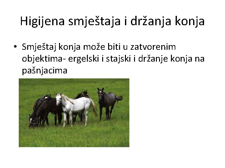 Higijena smještaja i držanja konja • Smještaj konja može biti u zatvorenim objektima- ergelski Higijena smještaja i držanja konja • Smještaj konja može biti u zatvorenim objektima- ergelski