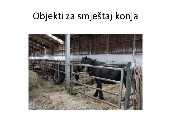 Objekti za smještaj konja 