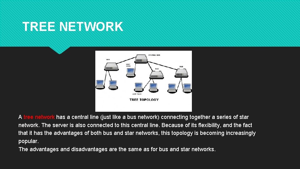 TREE NETWORK A tree network has a central line (just like a bus network)