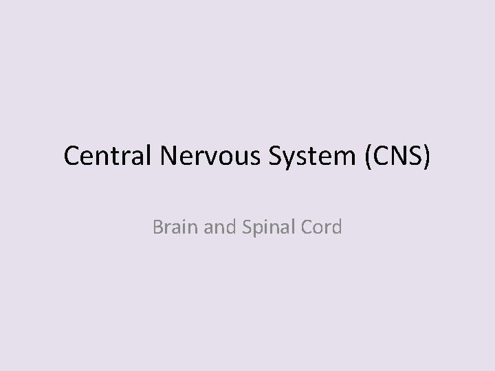 Central Nervous System (CNS) Brain and Spinal Cord 