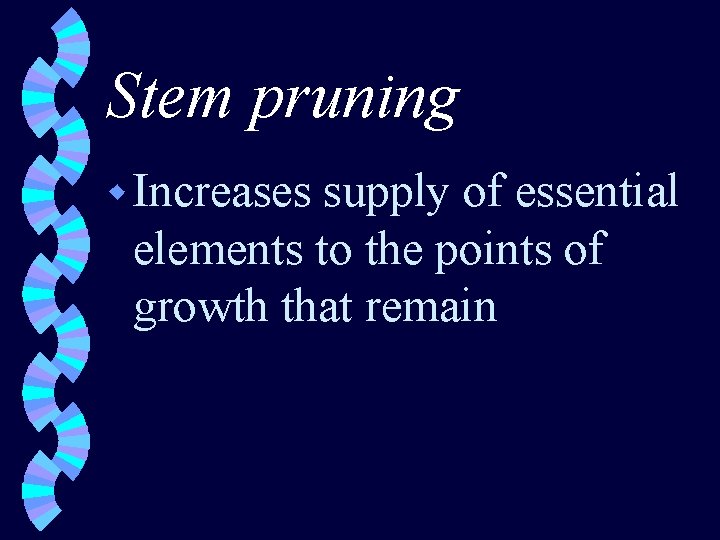 Stem pruning w Increases supply of essential elements to the points of growth that