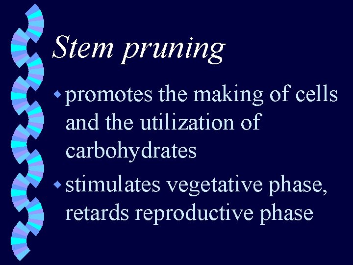 Stem pruning w promotes the making of cells and the utilization of carbohydrates w