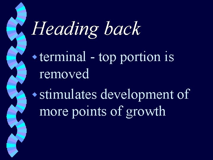 Heading back w terminal - top portion is removed w stimulates development of more