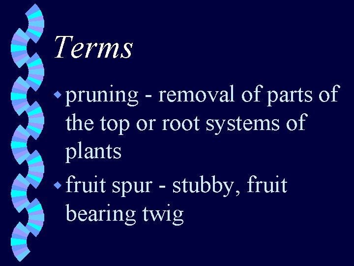 Terms w pruning - removal of parts of the top or root systems of