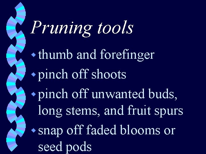 Pruning tools w thumb and forefinger w pinch off shoots w pinch off unwanted