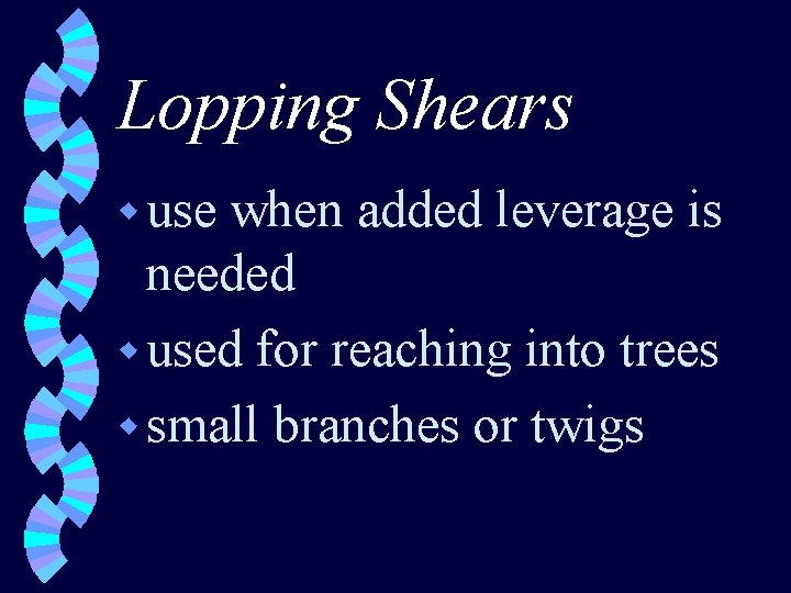 Lopping Shears w use when added leverage is needed w used for reaching into