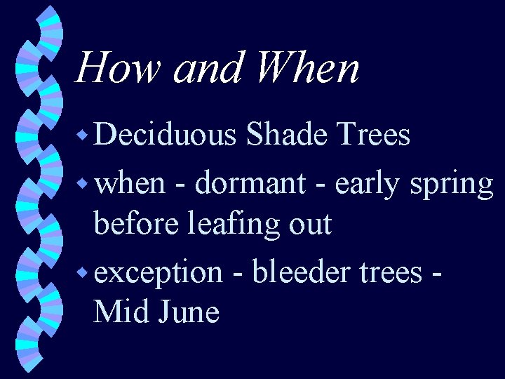 How and When w Deciduous Shade Trees w when - dormant - early spring