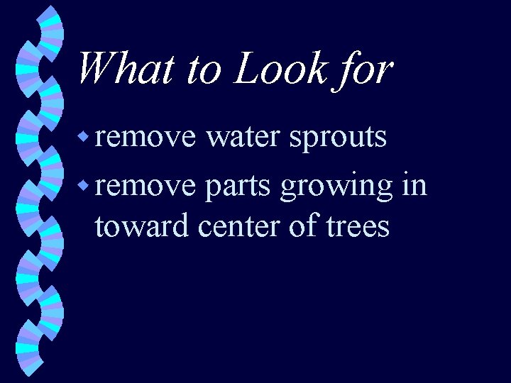 What to Look for w remove water sprouts w remove parts growing in toward
