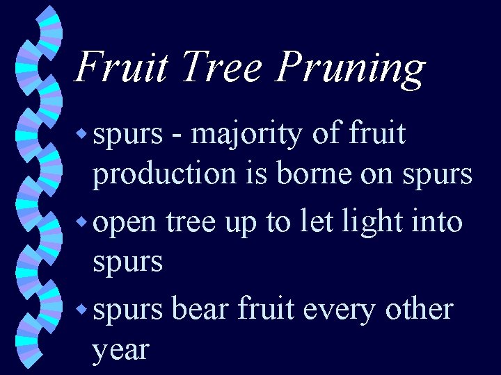 Fruit Tree Pruning w spurs - majority of fruit production is borne on spurs