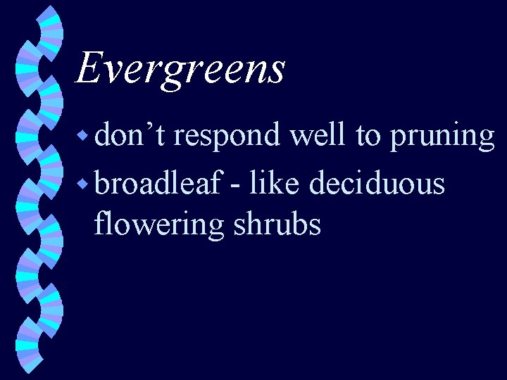 Evergreens w don’t respond well to pruning w broadleaf - like deciduous flowering shrubs