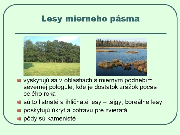 Lesy mierneho pásma vyskytujú sa v oblastiach s miernym podnebím severnej pologule, kde je