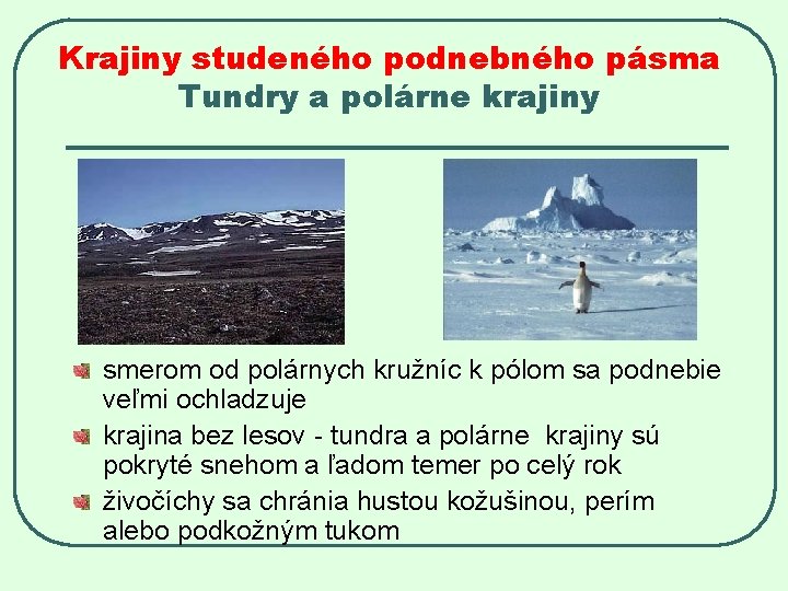 Krajiny studeného podnebného pásma Tundry a polárne krajiny smerom od polárnych kružníc k pólom