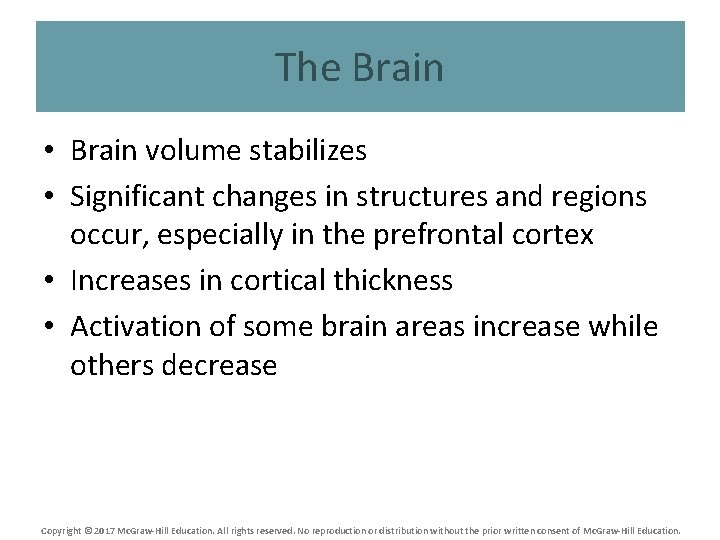 The Brain • Brain volume stabilizes • Significant changes in structures and regions occur,