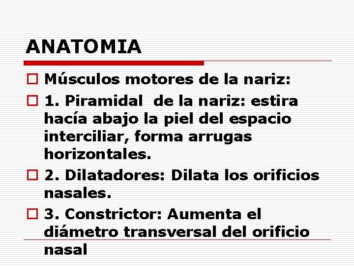 ANATOMIA o Músculos motores de la nariz: o 1. Piramidal de la nariz: estira