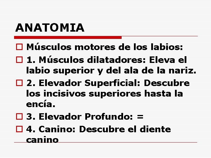 ANATOMIA o Músculos motores de los labios: o 1. Músculos dilatadores: Eleva el labio