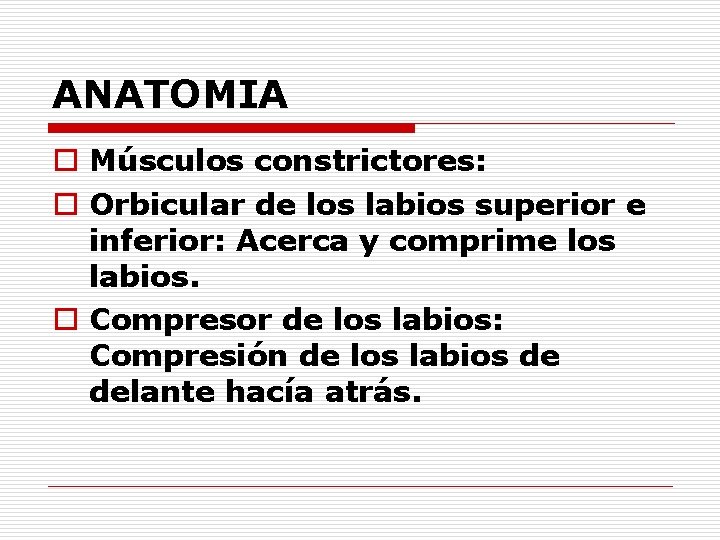 ANATOMIA o Músculos constrictores: o Orbicular de los labios superior e inferior: Acerca y