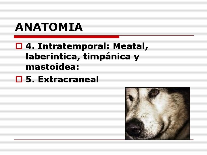 ANATOMIA o 4. Intratemporal: Meatal, laberintica, timpánica y mastoidea: o 5. Extracraneal 
