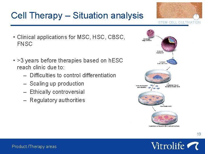 Cell Therapy – Situation analysis STEM CELL CULTIVATION • Clinical applications for MSC, HSC,