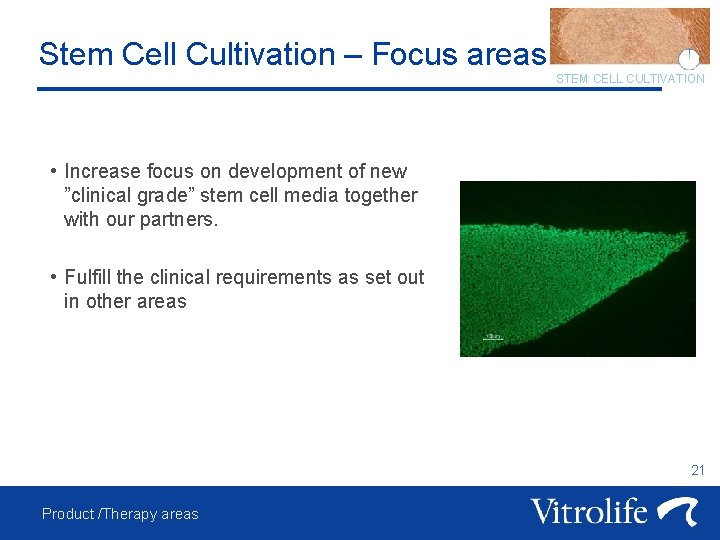 Stem Cell Cultivation – Focus areas STEM CELL CULTIVATION • Increase focus on development