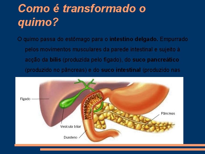 Como é transformado o quimo? O quimo passa do estômago para o intestino delgado.