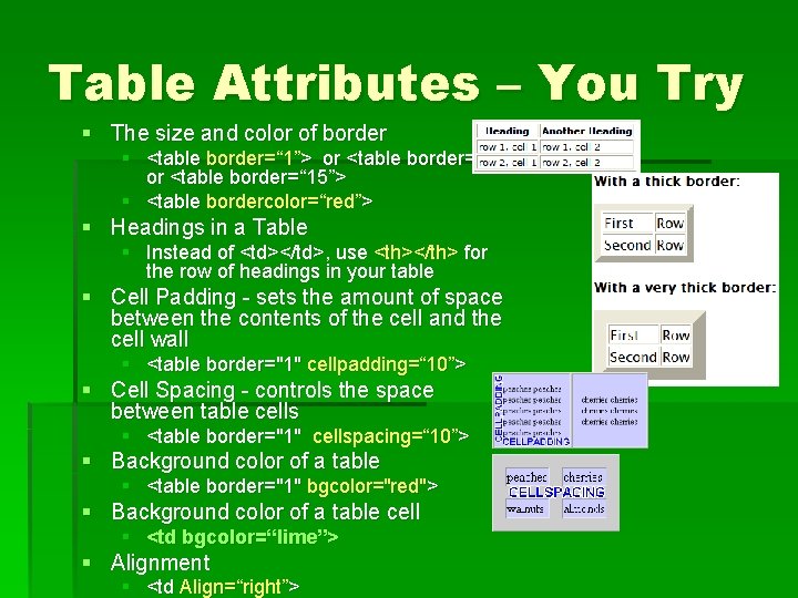 Table Attributes – You Try § The size and color of border § <table