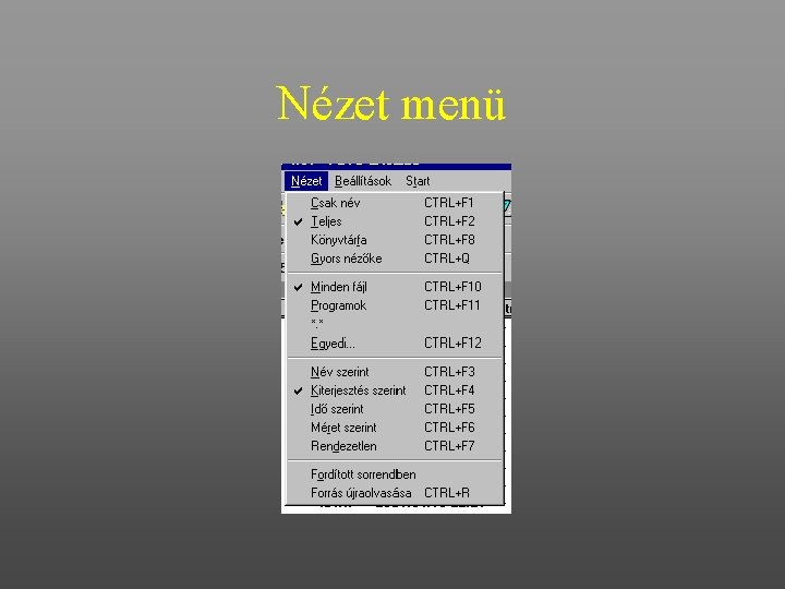 Nézet menü 