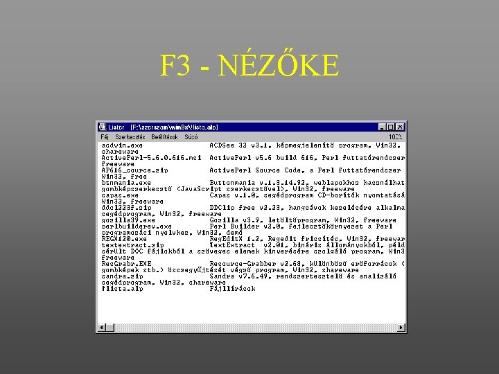 F 3 - NÉZŐKE 