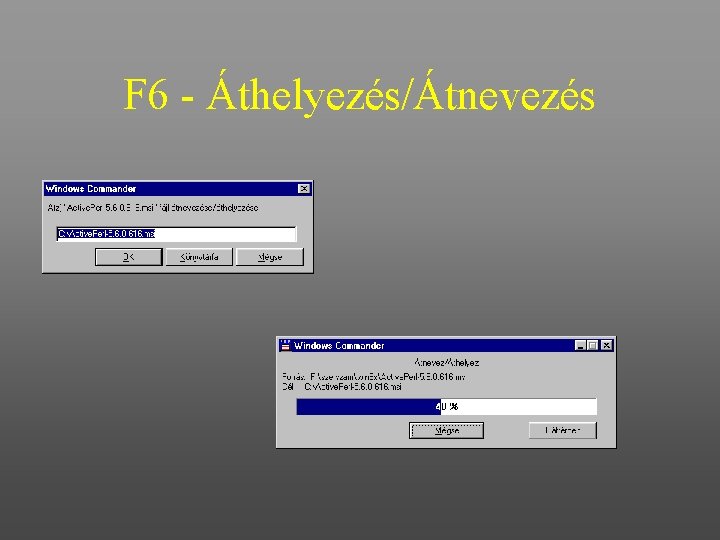 F 6 - Áthelyezés/Átnevezés 