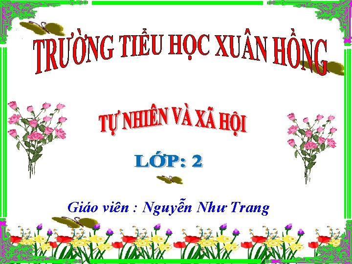 Giáo viên : Nguyễn Như Trang 