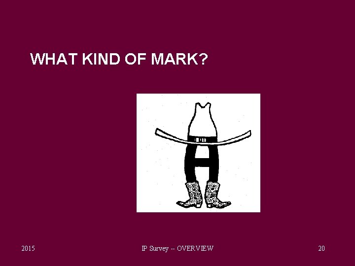 WHAT KIND OF MARK? 2015 IP Survey -- OVERVIEW 20 