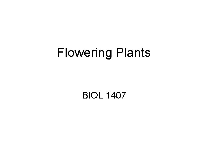 Flowering Plants BIOL 1407 