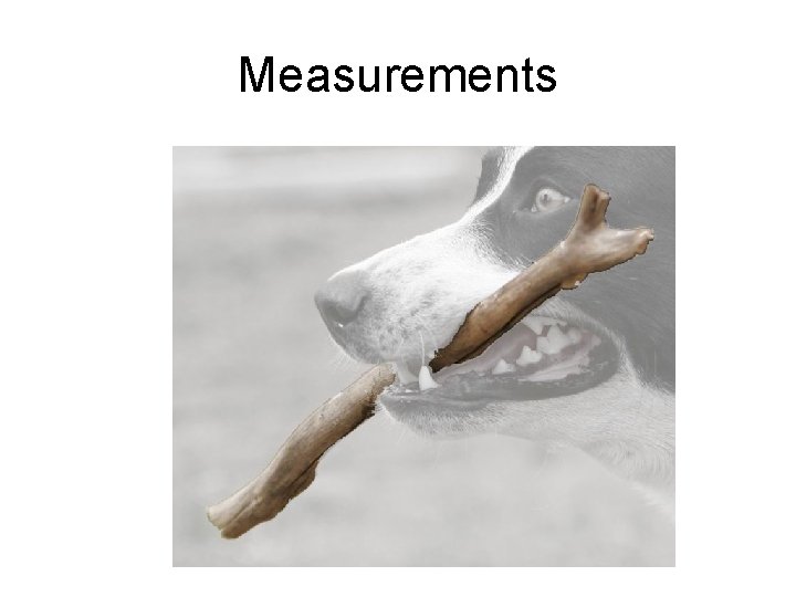 Measurements 