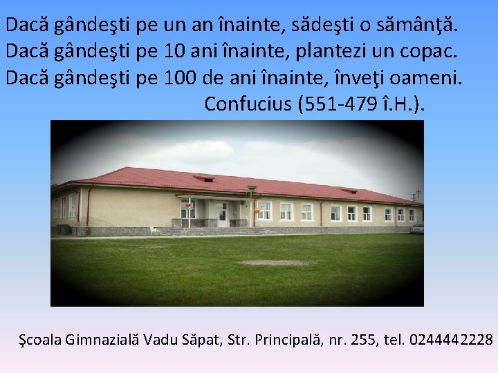 Dacă gândeşti pe un an înainte, sădeşti o sămânţă. Dacă gândeşti pe 10 ani