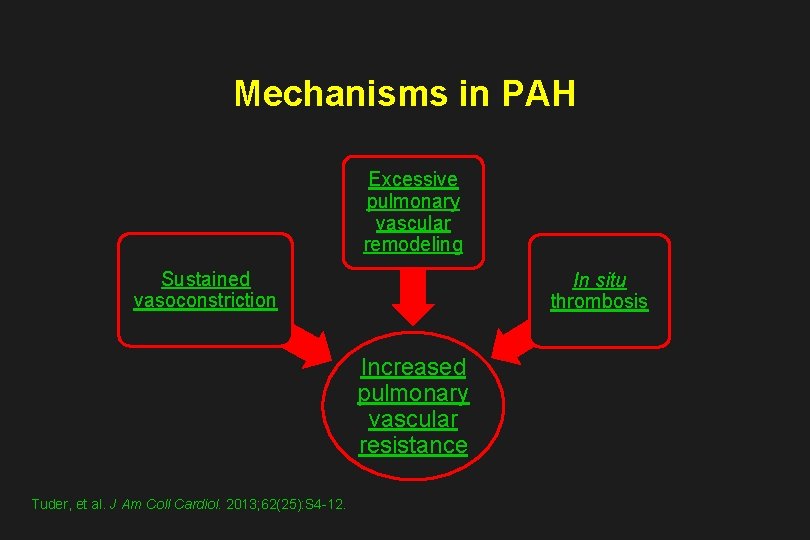 Mechanisms in PAH Excessive pulmonary vascular remodeling Sustained vasoconstriction In situ thrombosis Increased pulmonary