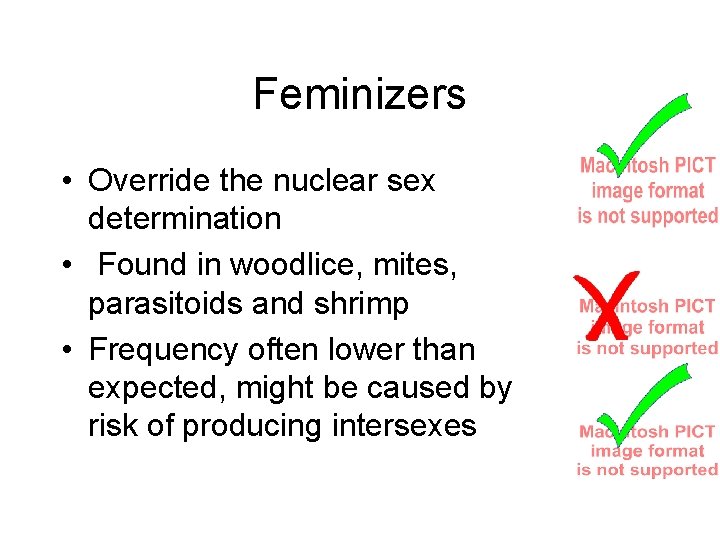 Feminizers • Override the nuclear sex determination • Found in woodlice, mites, parasitoids and