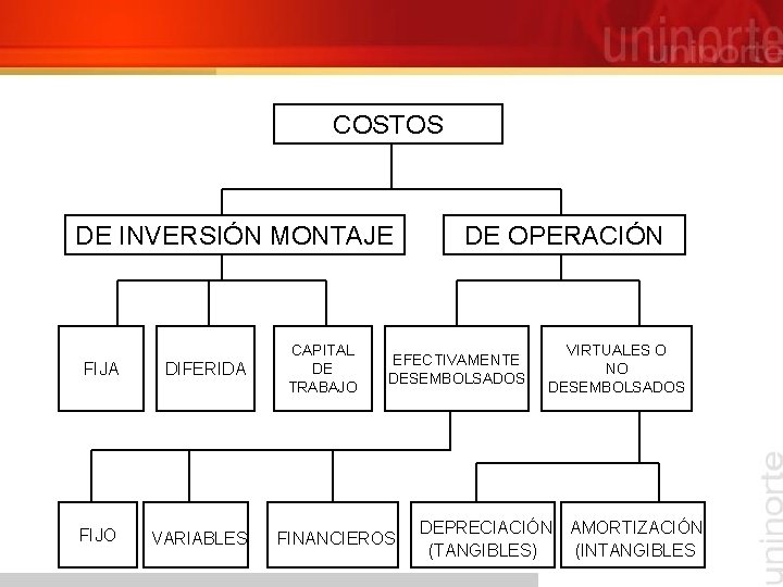 COSTOS DE INVERSIÓN MONTAJE FIJA DIFERIDA FIJO VARIABLES CAPITAL DE TRABAJO DE OPERACIÓN EFECTIVAMENTE